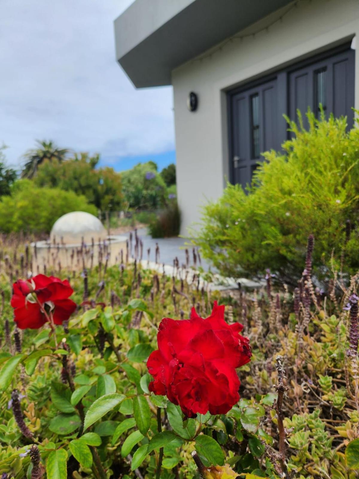 Villa Moondust Near The Ocean, Food And Wine à Hermanus Extérieur photo